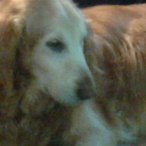 Meet your Posher, Jonny